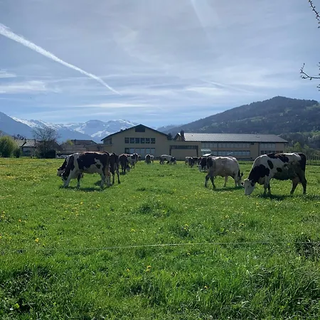 Apartament Four Seasons Access & Mountain Views *