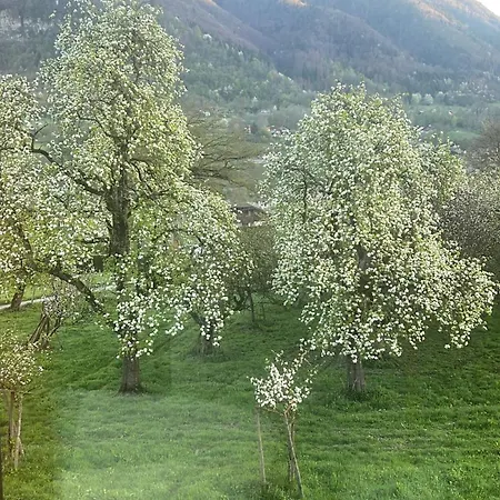 Four Seasons Access & Mountain Views *